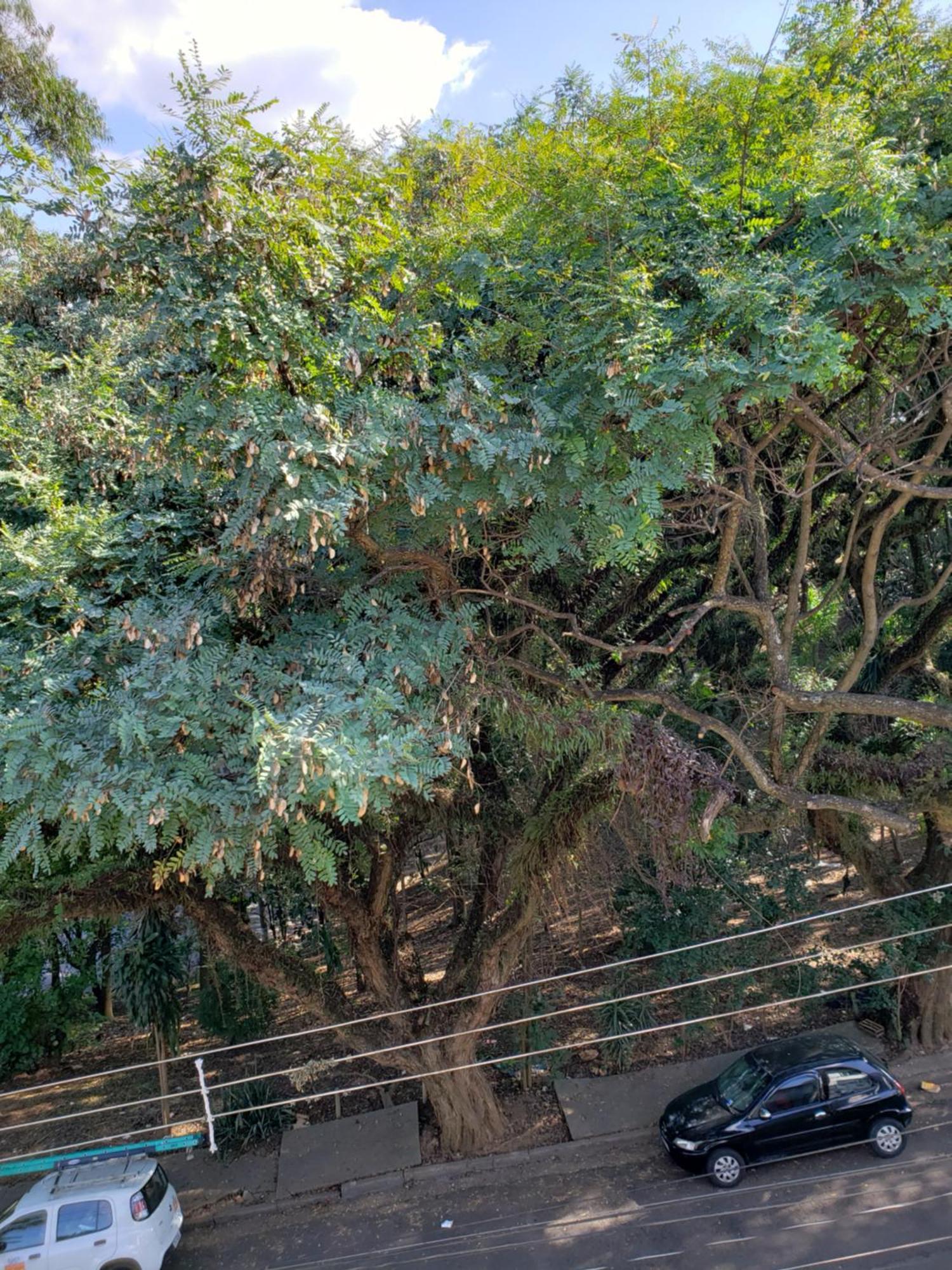 Casa de hóspedes Monte Siao *
