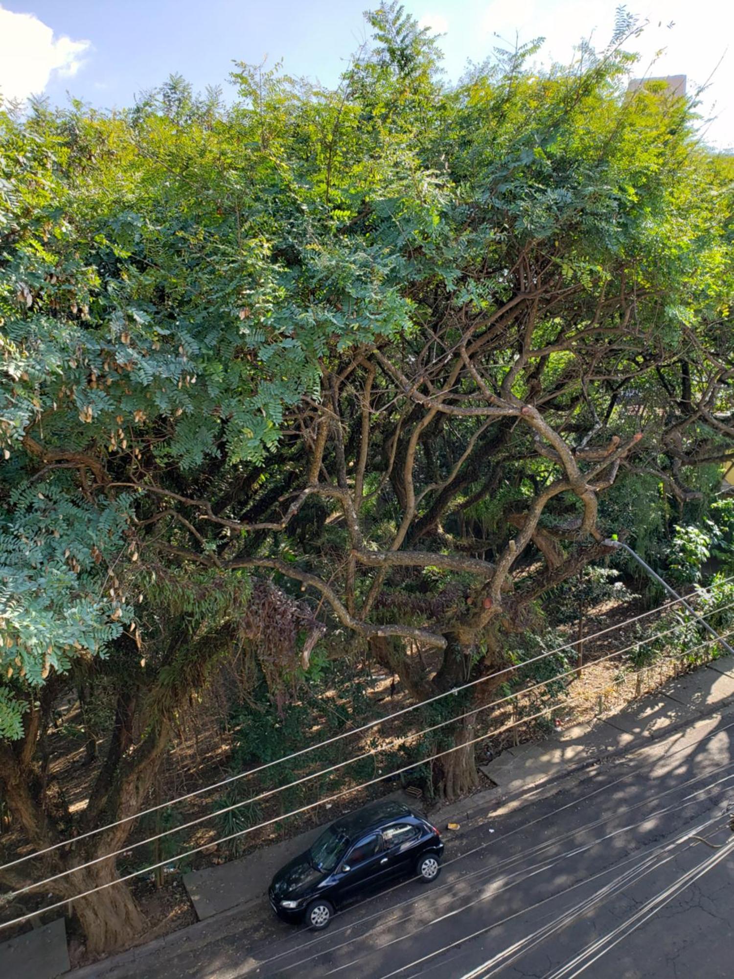 Monte Siao * São Paulo